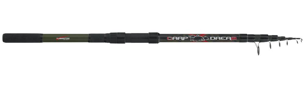 Carp Dream
