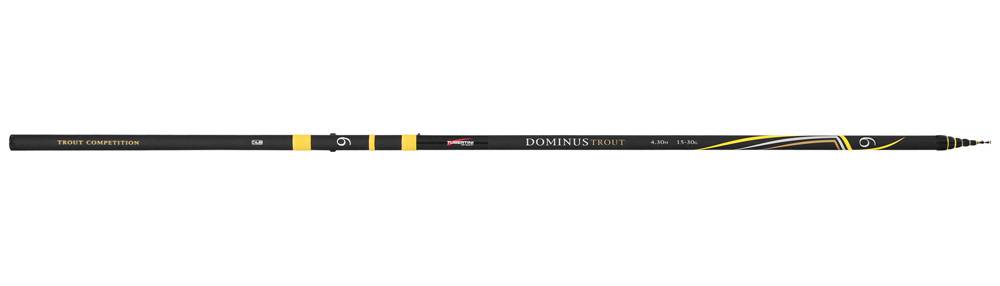 Dominus Trout