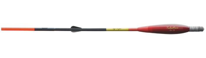 Pro 12