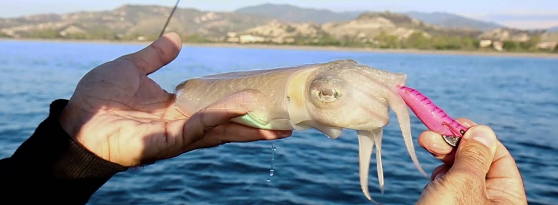 PESCA dalla BARCA ai CALAMARI - Michele Prezioso